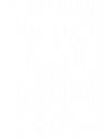 Apollo Internet Media Logo White 100 x 100 px